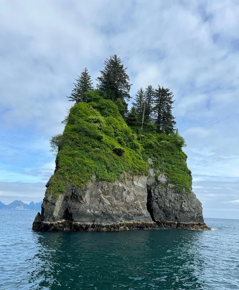 Kenai Fjords view 1